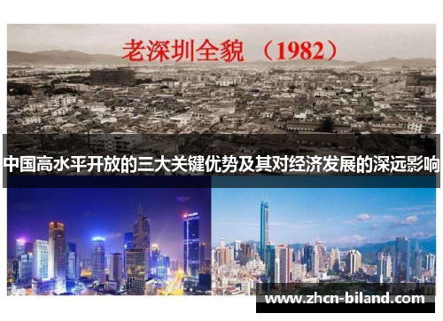 中国高水平开放的三大关键优势及其对经济发展的深远影响