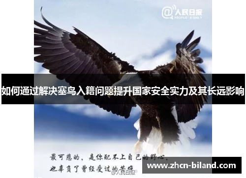 如何通过解决塞鸟入籍问题提升国家安全实力及其长远影响