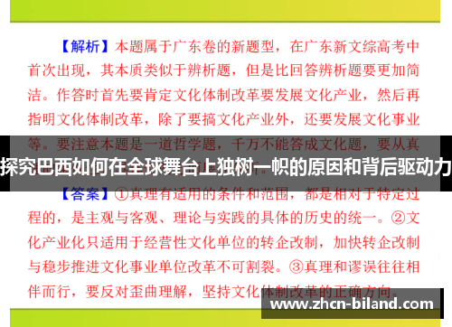 探究巴西如何在全球舞台上独树一帜的原因和背后驱动力
